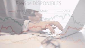 Análisis Fundamental para Commodities 2025 3 Análisis Fundamental para Commodities 2025